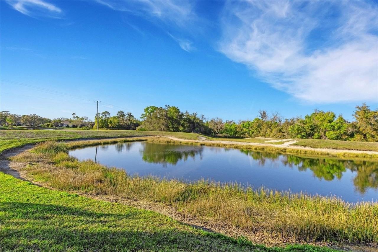 11011 Hyacinth Pl - Photo 7 of 50