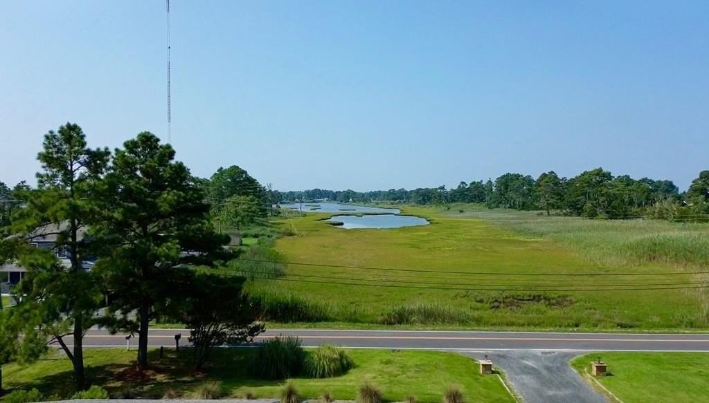 7195 Bunting Rd - Photo 6 of 12