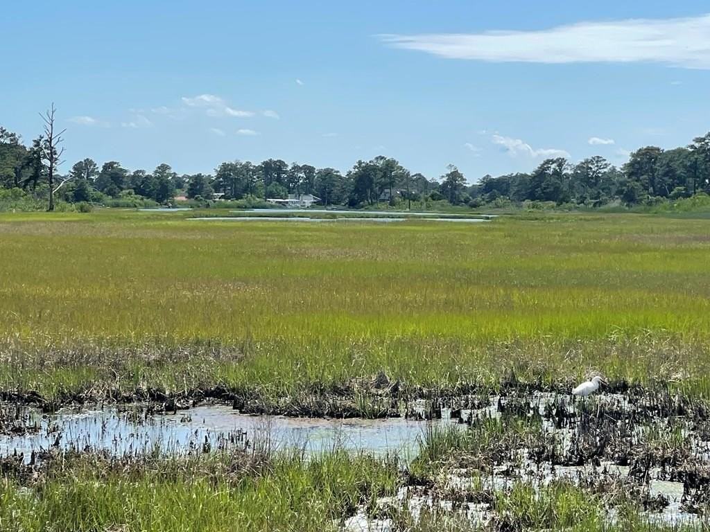 7195 Bunting Rd - Photo 7 of 12