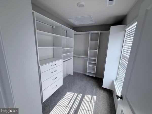 255 Maple Run Dr - Photo 6 of 8