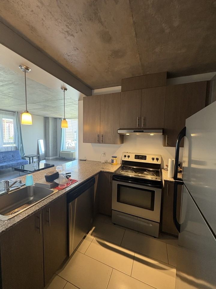 260 Boul Maisonneuve — photo 1