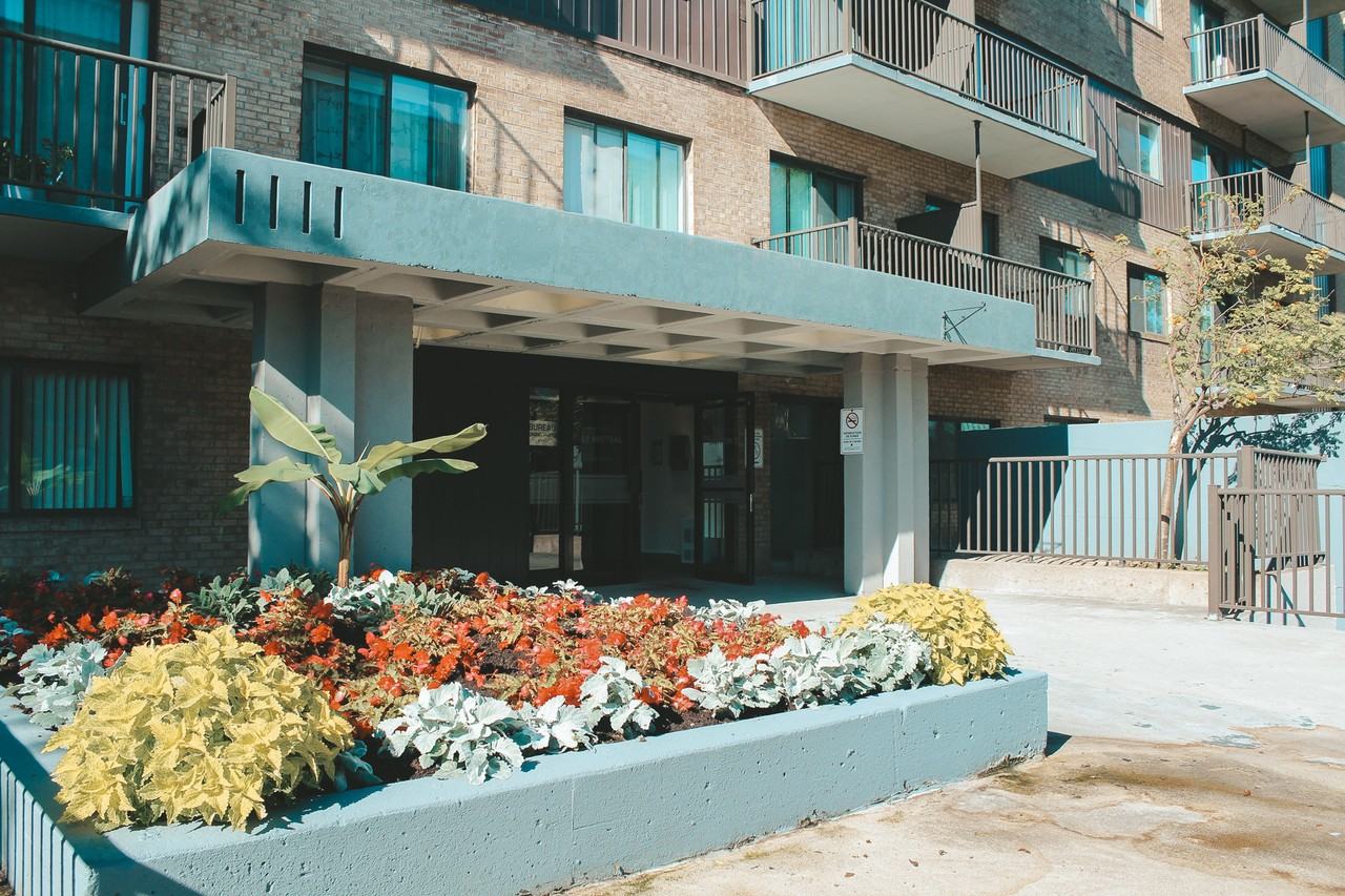 Domain Mistral - Photo 2 of 50