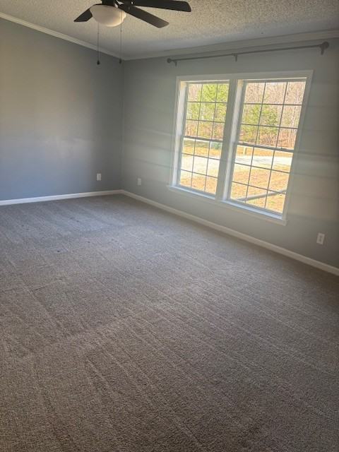 397 Lester Dr #1 - Photo 5 of 12