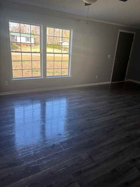 397 Lester Dr #1 - Photo 7 of 12