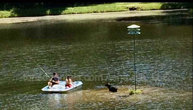 4 Coma Lake Ln - Photo 4 of 22