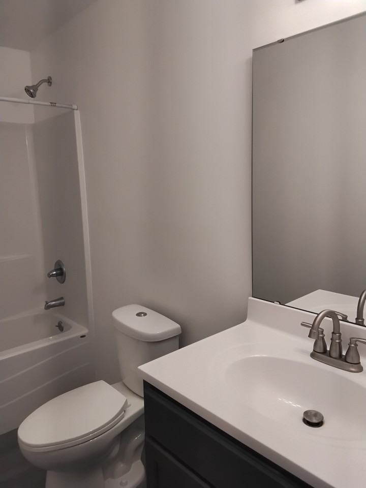 4818 Red Rooster Ln - Photo 5 of 6