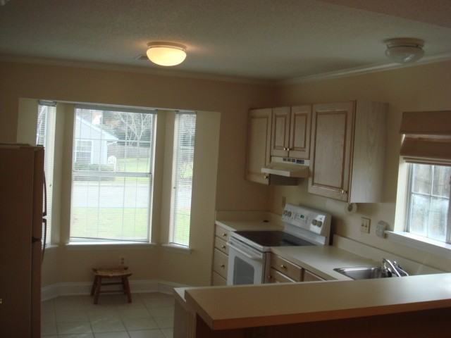 103 Duchess Ln - Photo 4 of 7