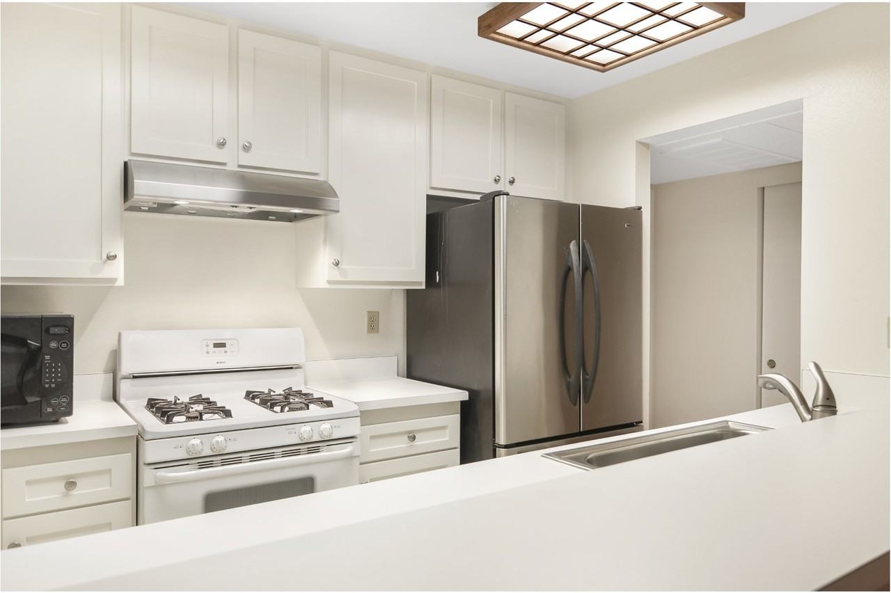 183 Lemon Grv #223 - Photo 5 of 19