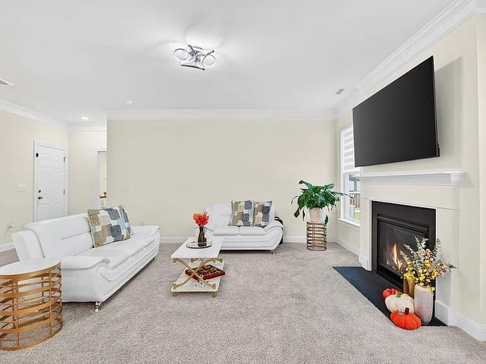 243 Ford Meadows Dr - Photo 7 of 22