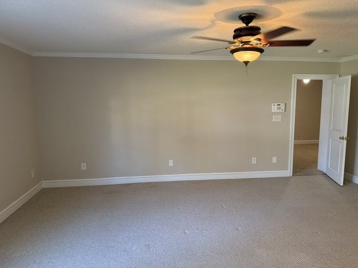 427 Cedar St - Photo 4 of 13