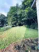 featured image of 9 York St #NA