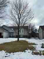 featured image of 7191 Joplin Ave S #0