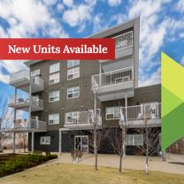 The Vogue - Photo 1 of 1