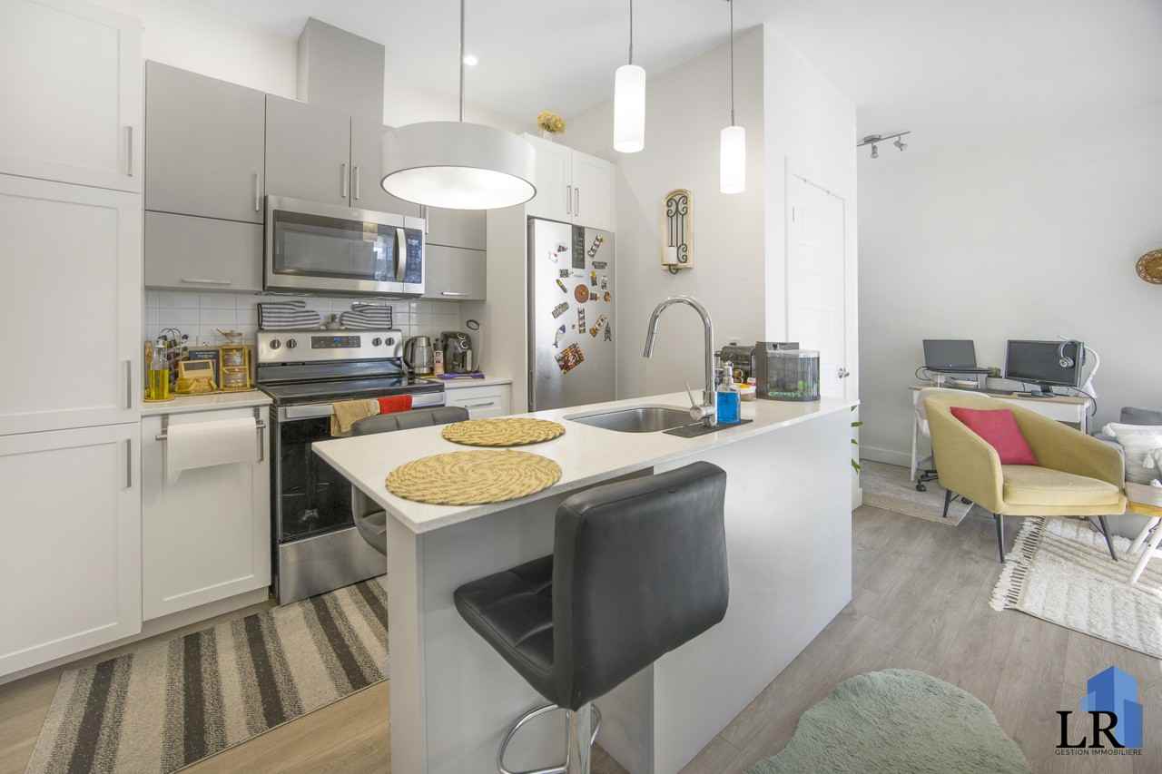 687 Boul Du Plateau - Photo 3 of 8