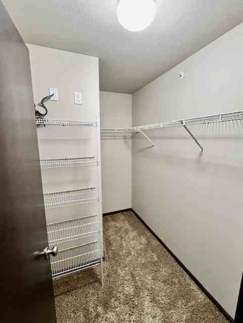 9012 N Scrimshaw Dr #2 - Photo 7 of 22