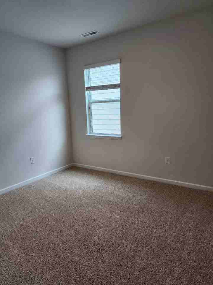 553 Lemon Daisy Ln #1 - Photo 5 of 11