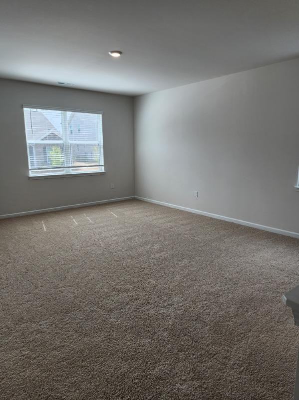 553 Lemon Daisy Ln #1 - Photo 6 of 11