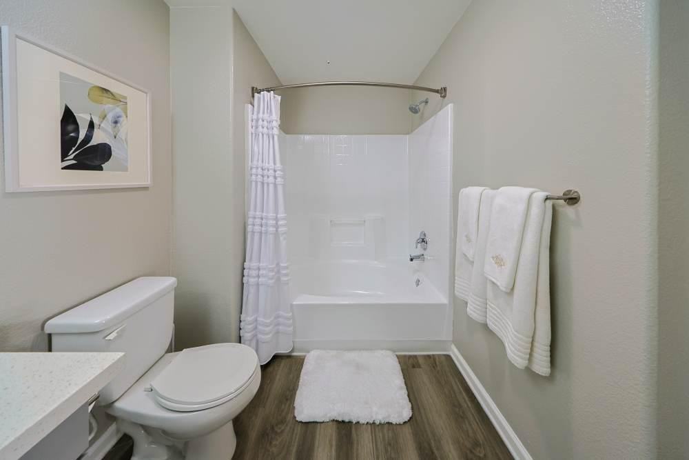 390 Paseo Camarillo - Photo 3 of 44