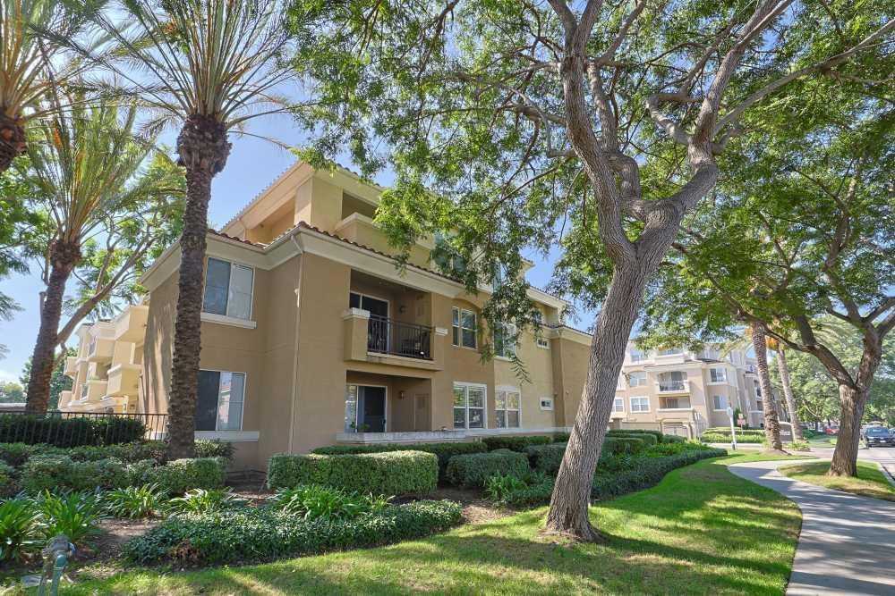 390 Paseo Camarillo - Photo 2 of 44
