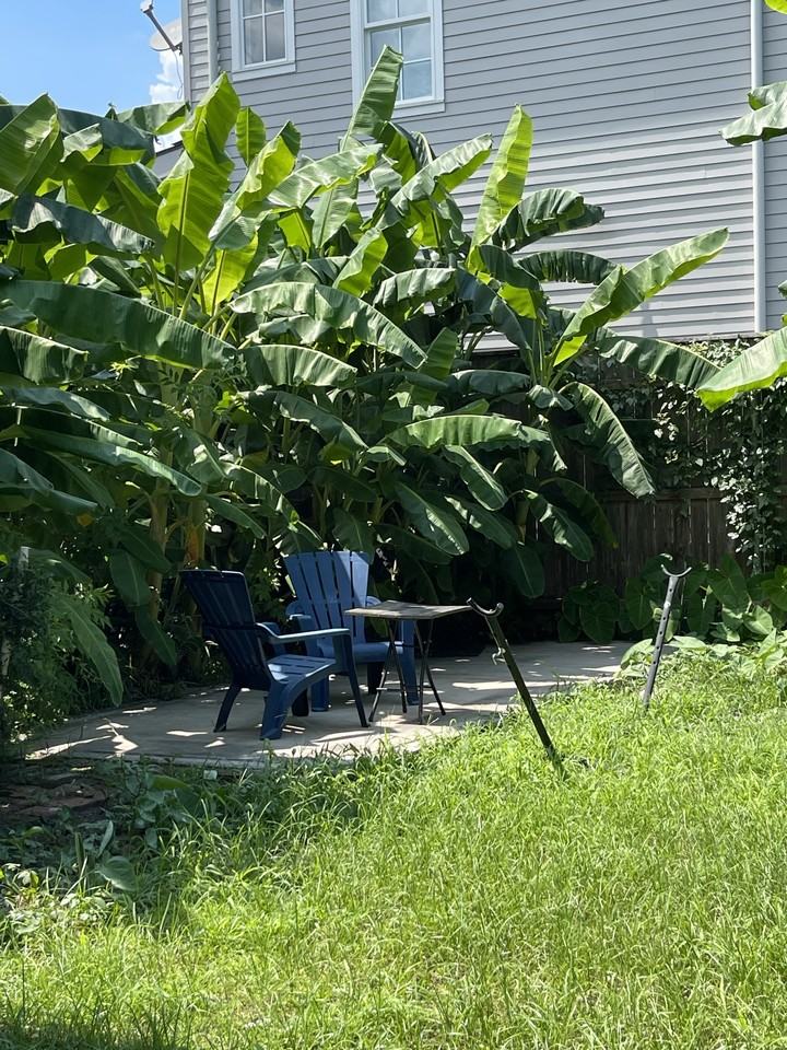 4907 Camp St #B - Photo 4 of 9