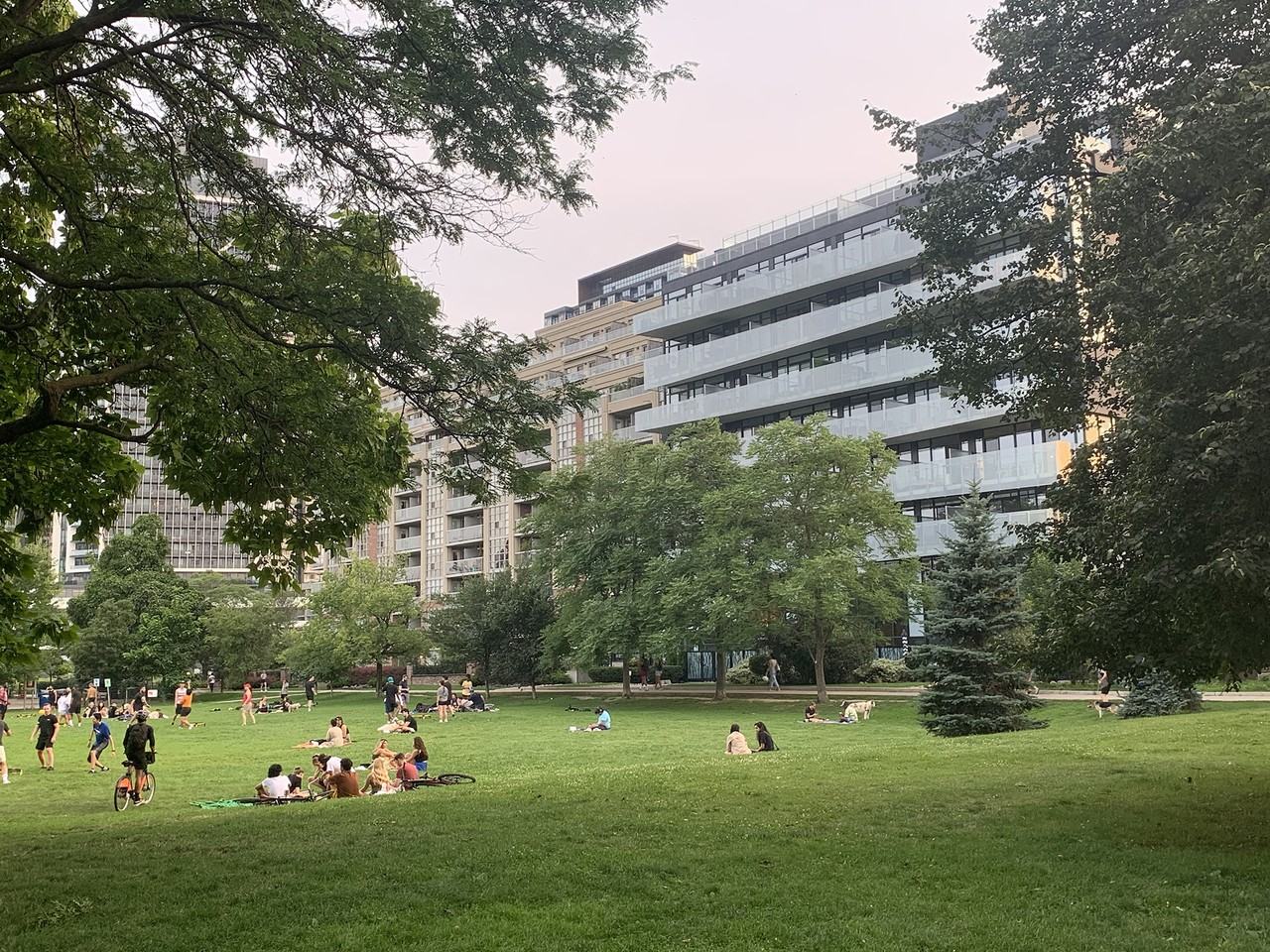 25 Stafford Street #509 - Photo 4 of 19