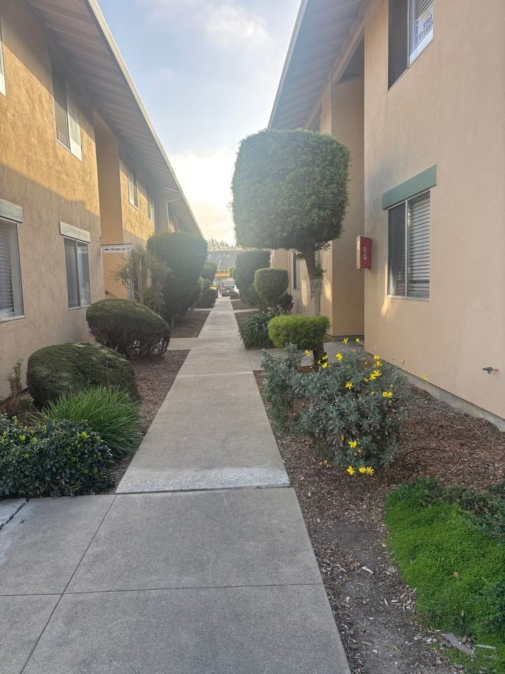 Archer Gardens Apartments - Photo 6 of 7