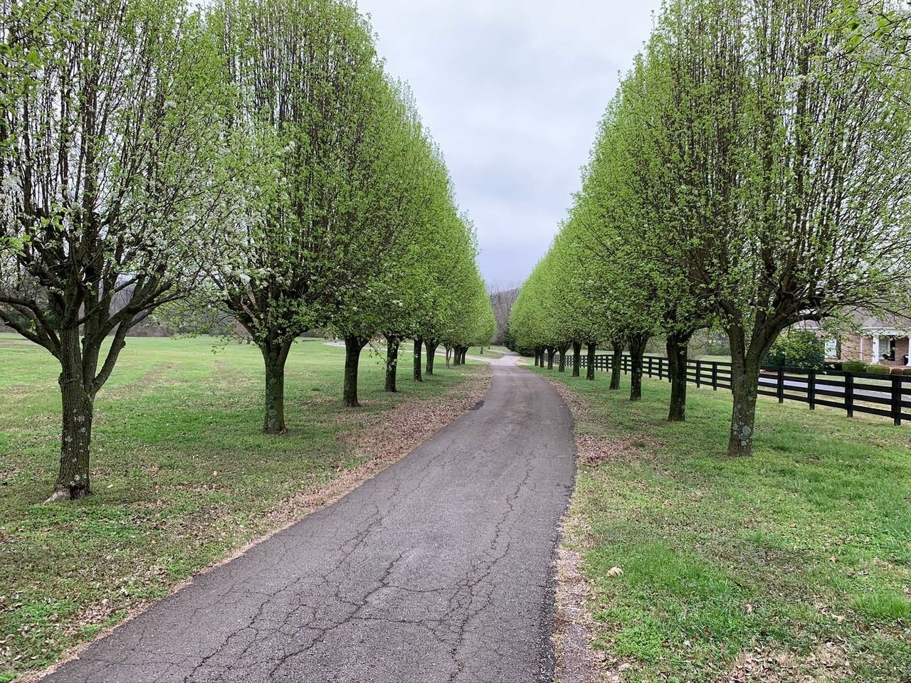 1108 Gray Fox Ln - Photo 4 of 39