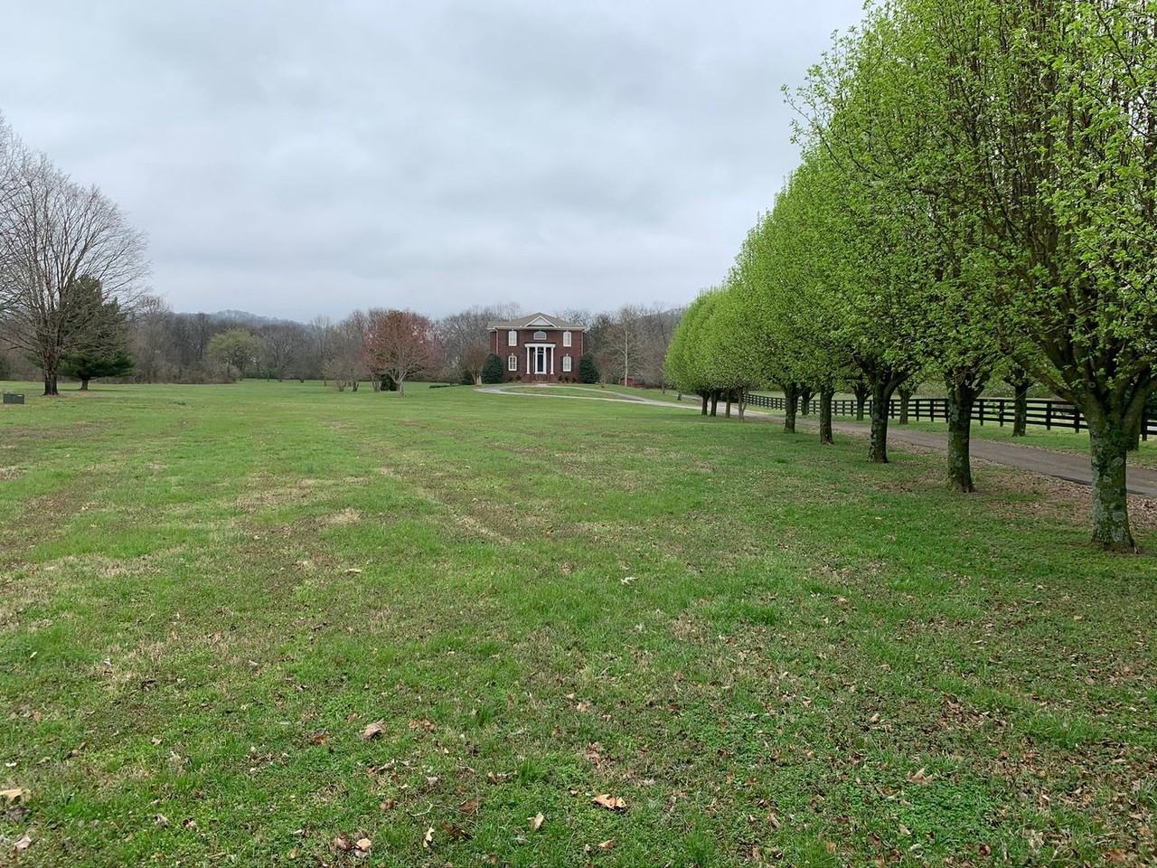 1108 Gray Fox Ln - Photo 5 of 39