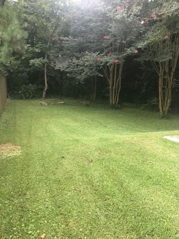 5400 Venado St - Photo 4 of 10