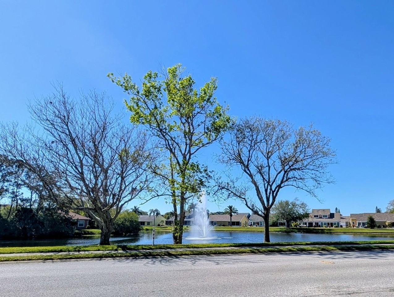 4246 Boston Cir - Photo 5 of 21