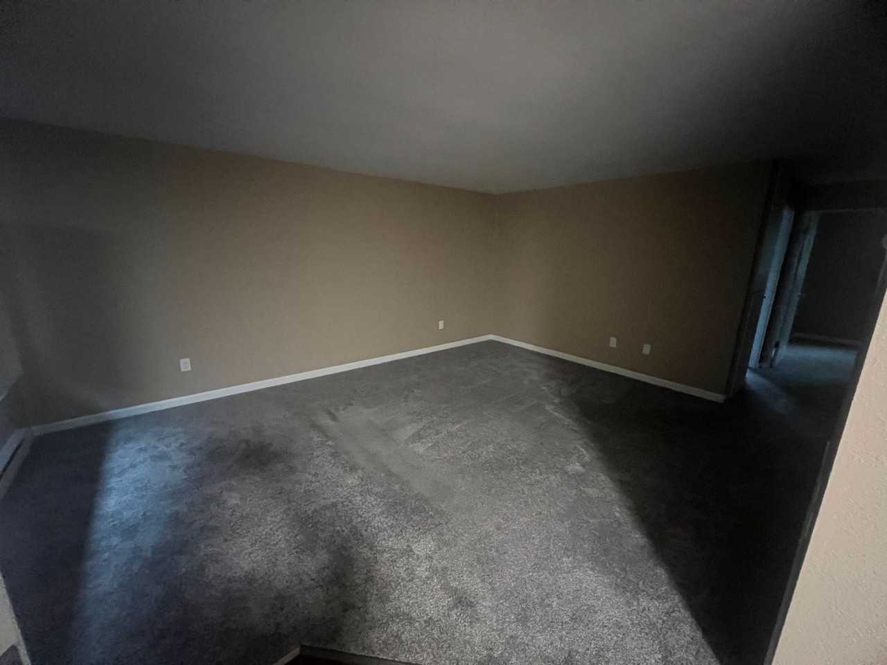 Forest View  Bonney Lake - Photo 3 of 11