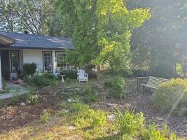 featured image of Hangtree Ln