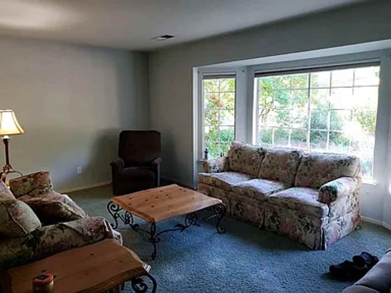 Hangtree Ln - Photo 2 of 8