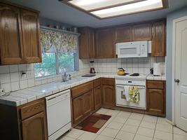 featured image of Hangtree Ln