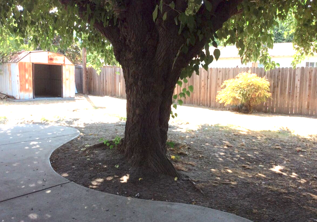 2446 Belair St - Photo 5 of 20