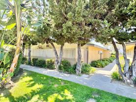 Village Pines - Photo 1 of 1