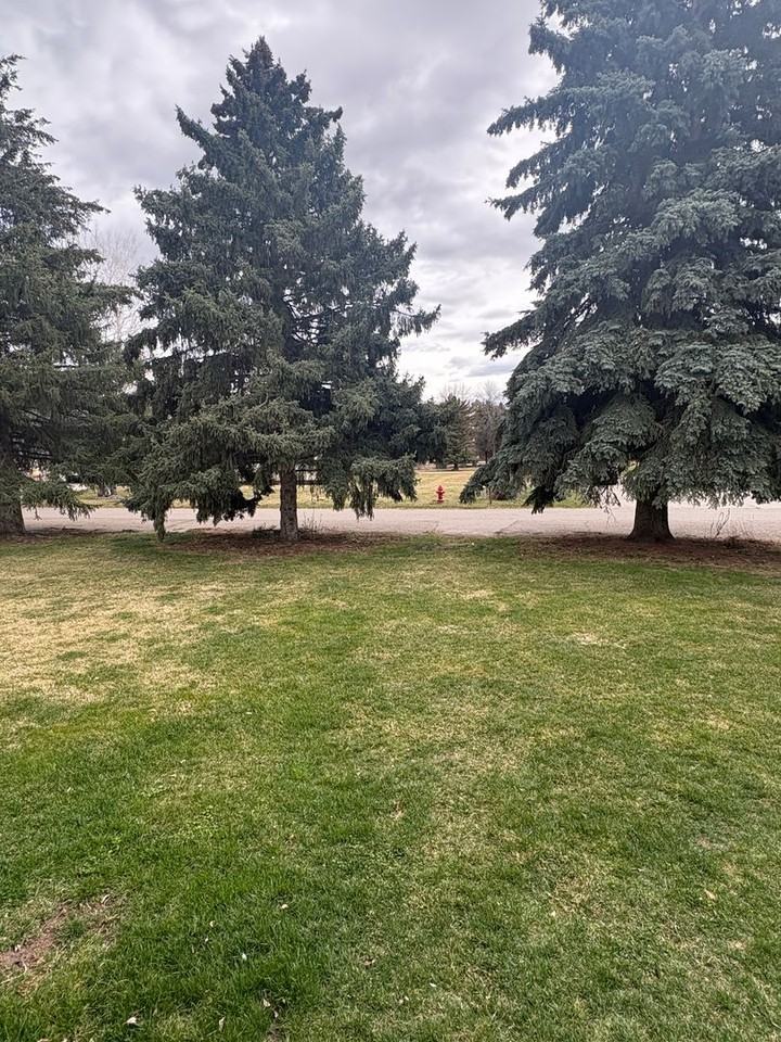 113 Bogart Dr - Photo 3 of 32