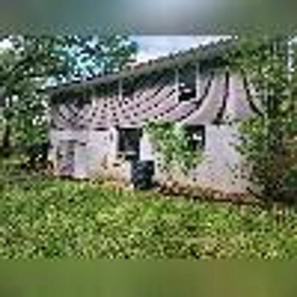 748 Steakley Dr - Photo 5 of 19