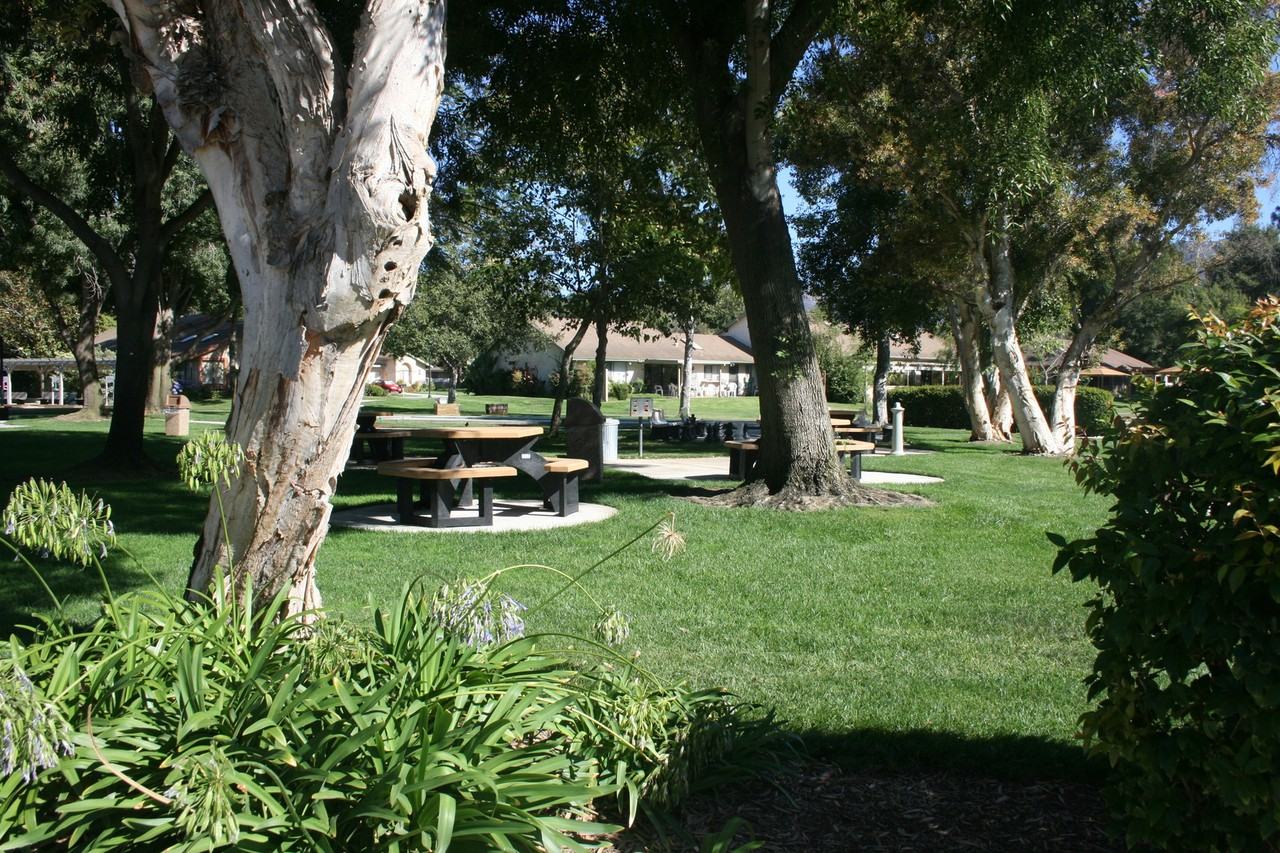 38102 Village 38 - Photo 6 of 11