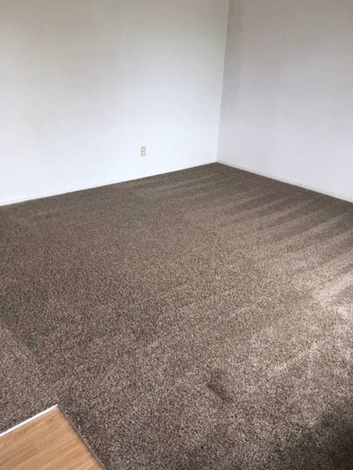 1903 Oakwood Dr - Photo 5 of 12