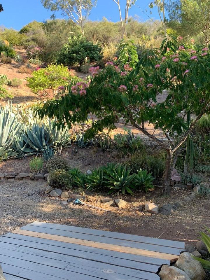 10000 N Signal St - Photo 7 of 12