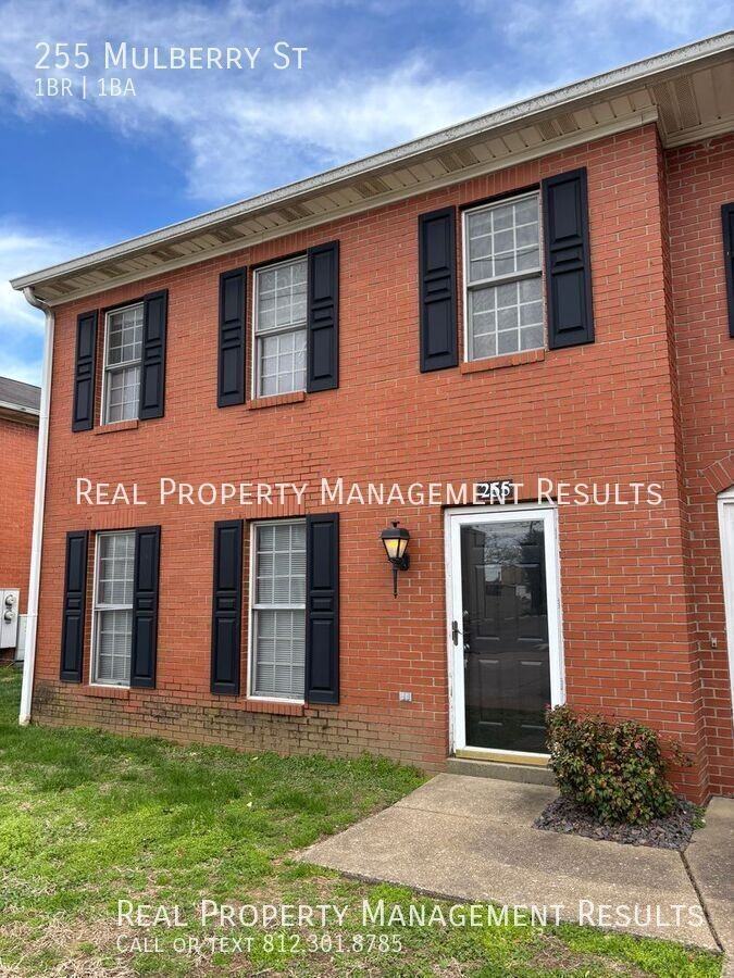 255 Mulberry St - Photo 2 of 11