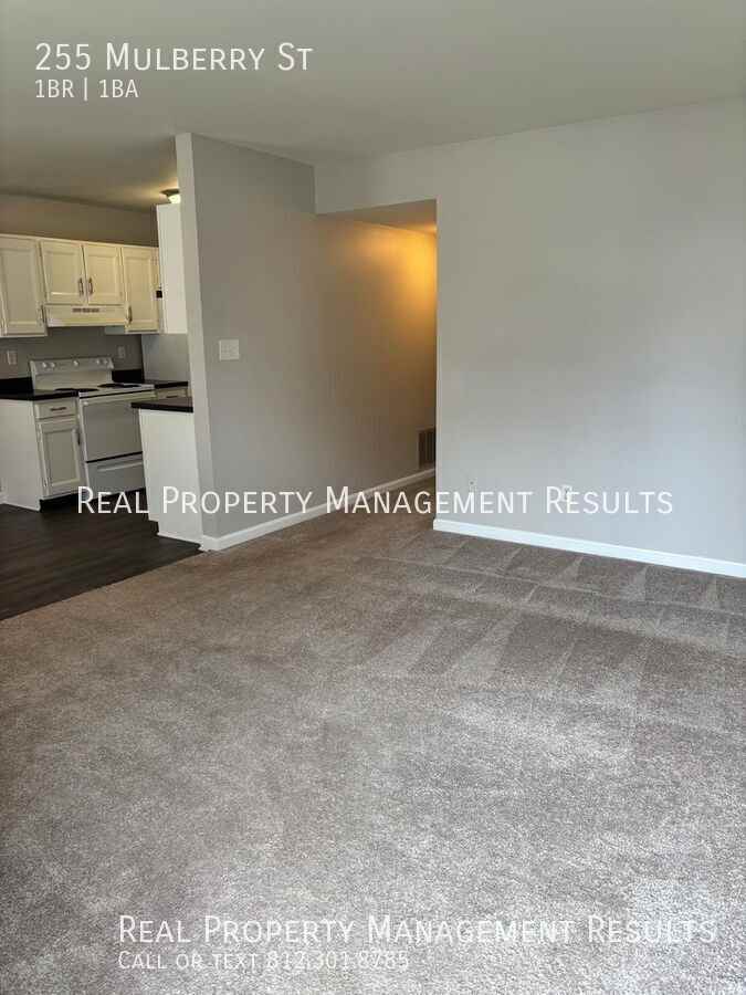 255 Mulberry St - Photo 3 of 11