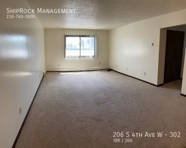 206 S 4th Ave #302 - Photo 3 of 11