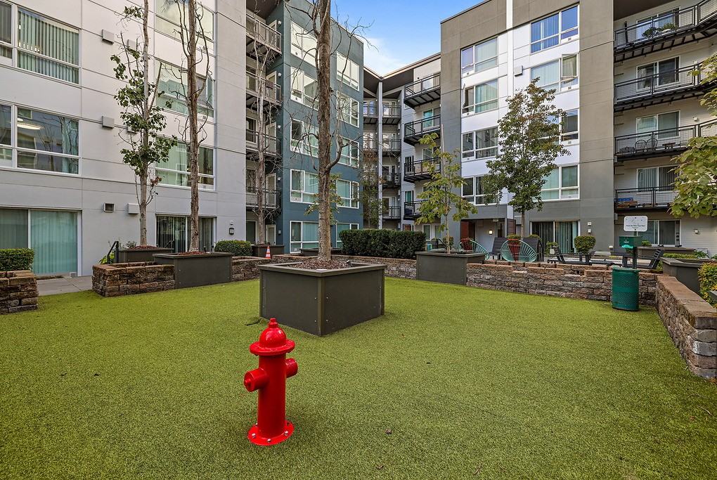 Belcarra - Photo 6 of 50