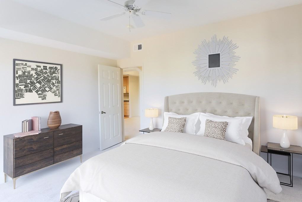 San Marcos - Photo 7 of 33