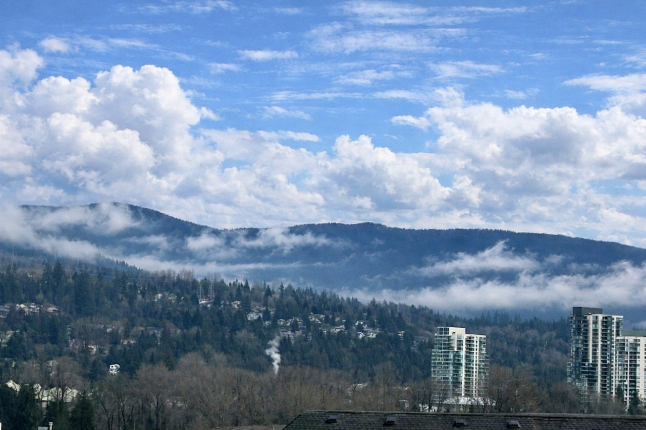 Chroma - Photo 3 of 29