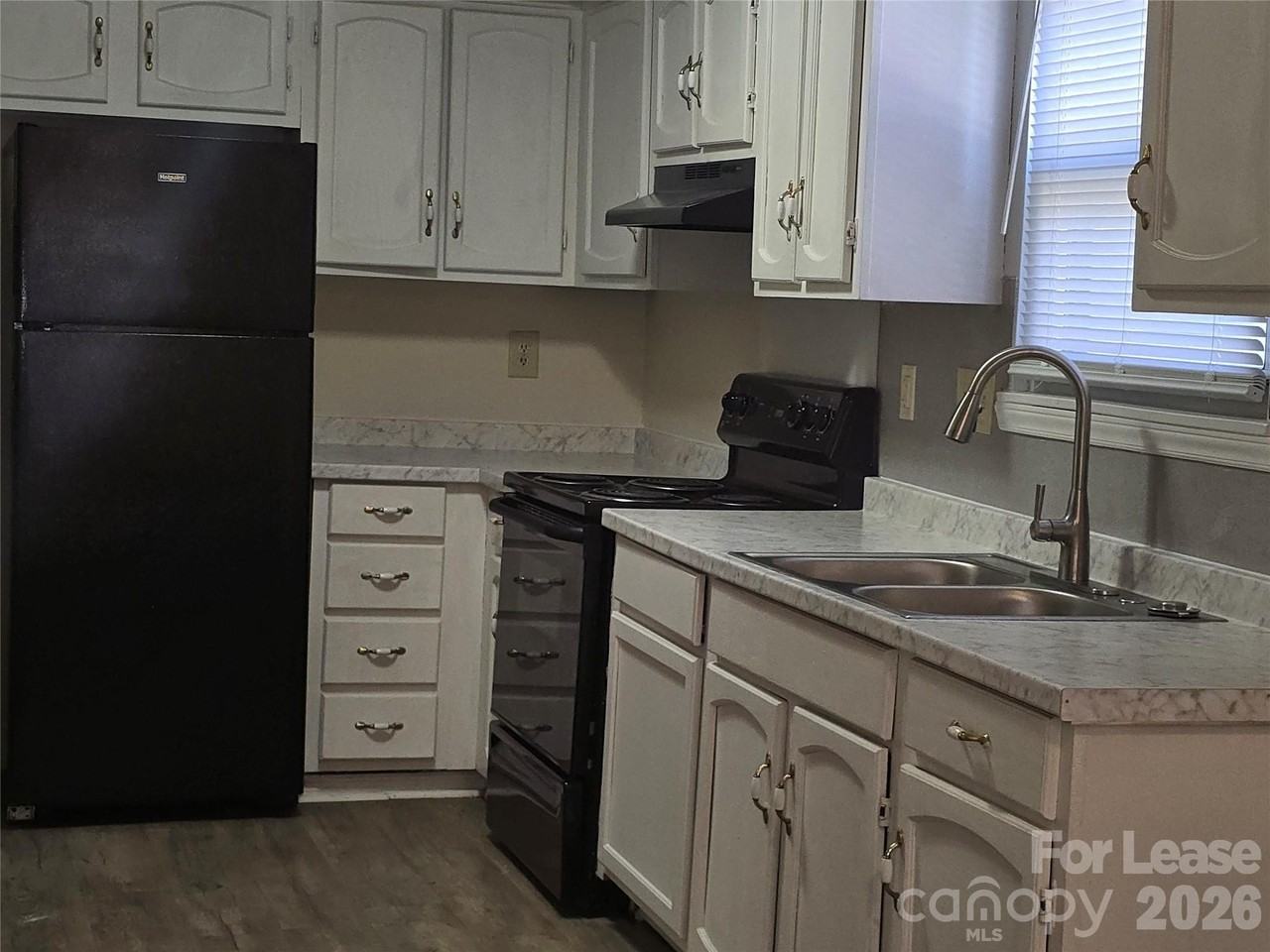 5323 Chestnut Lake Dr - Photo 4 of 12
