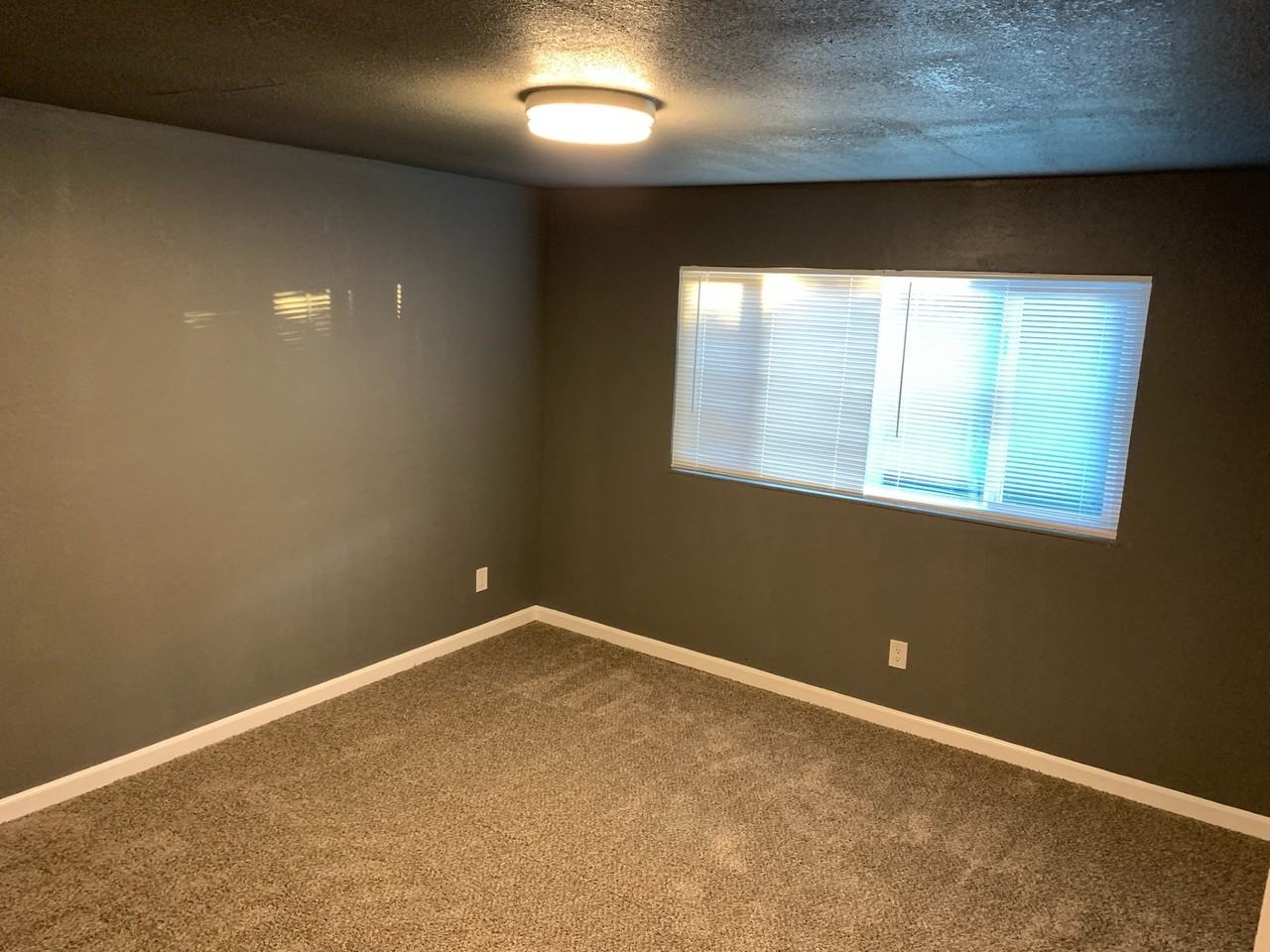 911 Shelduck Ct #1 - Photo 7 of 15