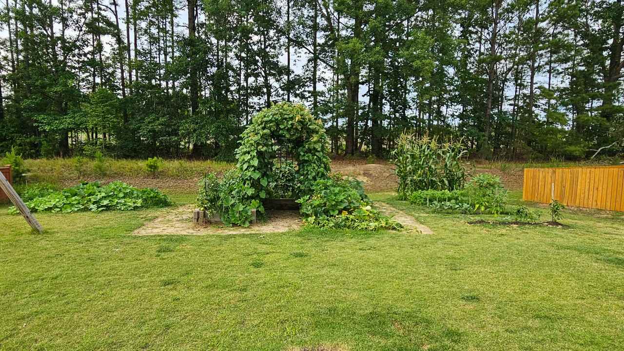 Golden Plum Ln - Photo 2 of 11